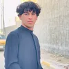 nsar__313