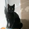 pedro_.cian