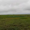 hanzxturu10