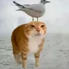 enhama_5