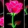 aliyu98562
