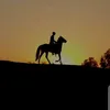 alhamdanclub