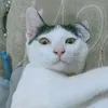 chaipatsoo