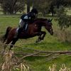 chanelle.eventing