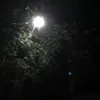 tqkhaik10