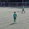 fiego11goat