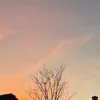 loulou258_