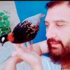 riaz.khan7743