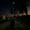 marijuhanna1.v.1