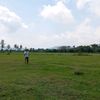 budiyono.yono52
