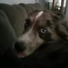 jacko3373
