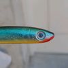 alexandrulupu7028