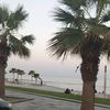 user1939125325708