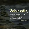 selef_075