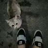 dari_9993