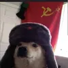 el_perrofa_chero