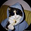 jose_gambo