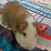 escuiqui2