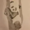 saskiiundemmisfan1