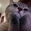nickslurp
