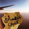 user8613542198625