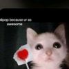 the_lastnugget1
