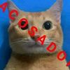 please_do_notleaveme
