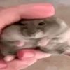 afewrustyspoons