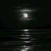 omyousef40810