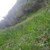 maikely_0999
