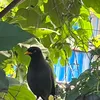 co_doc38