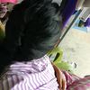 pmubvth.niopp