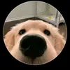 usernjm8ouy8cfphuon