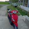 roneyyyy31