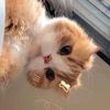 irfan_070311