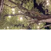 tk070669