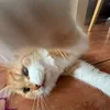 drunk4whiskey