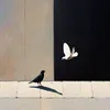 🕊️.