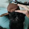 jeremydontgetpartners
