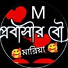 mohammedmamun4220