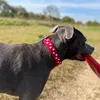 lunaloveswalkies
