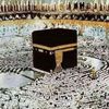 user51815661970733
