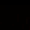 user503200629624