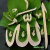 md.siamjr06