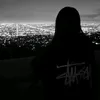 .gsiwnz