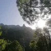 shaktale