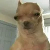 pieksior