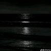 niko_2796