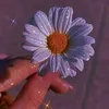 يا صاحب الزمان313🕊💔