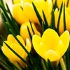 .valentine_7